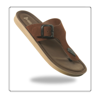 8051 brown web